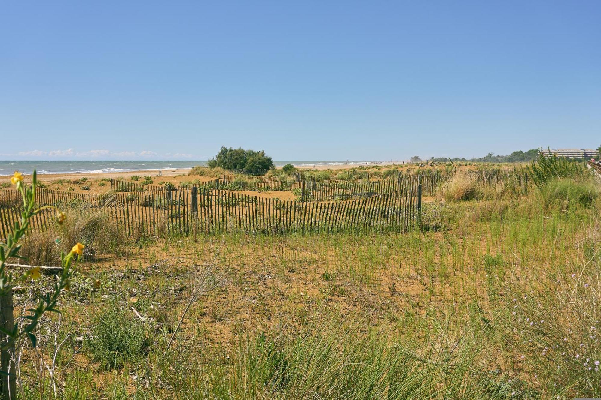 Lido Dei Pini Near And Shopping Street Appartamento
