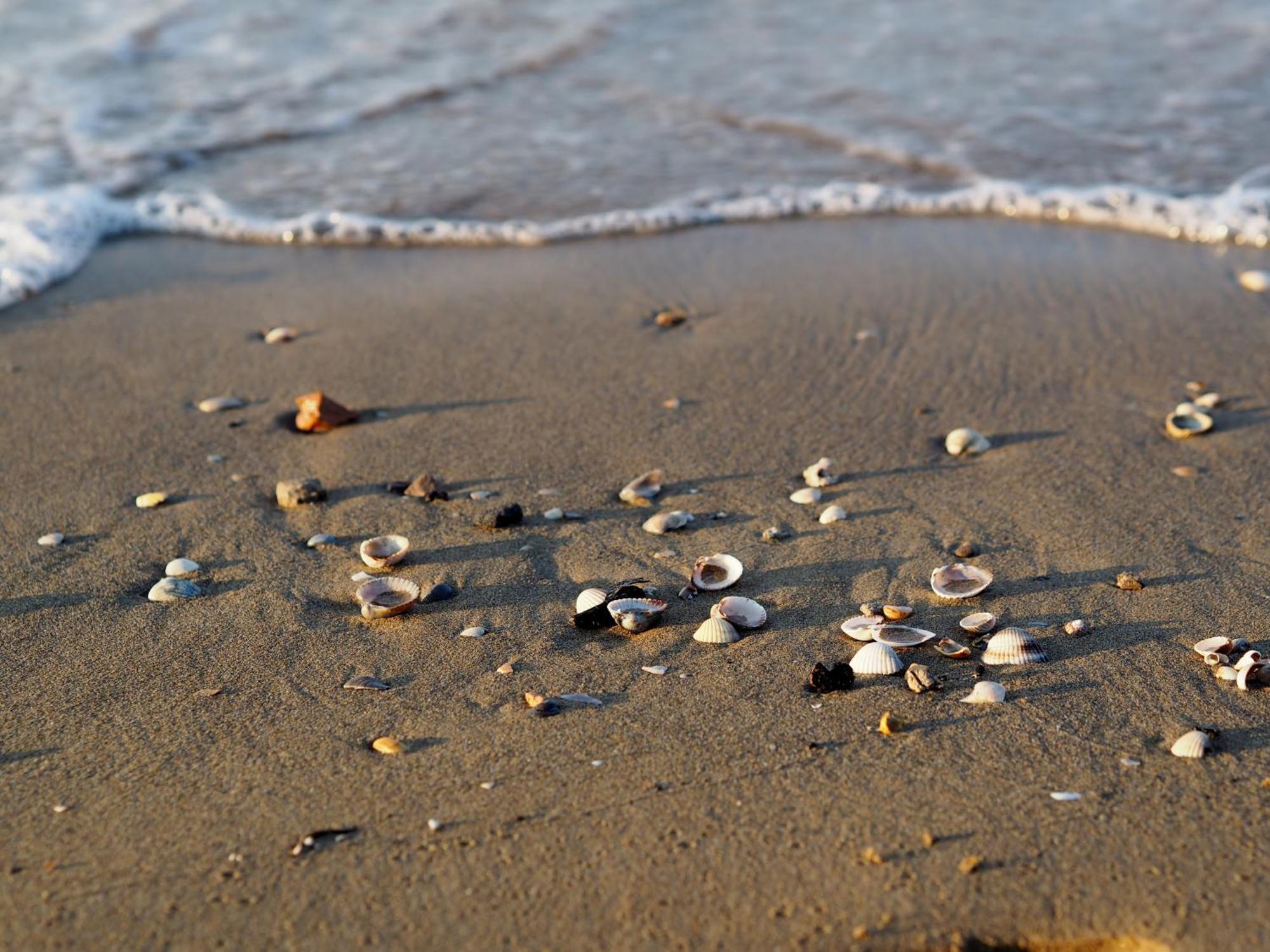 Lido Dei Pini Near And Shopping Street Bibione